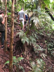 trilha para as cachoeiras