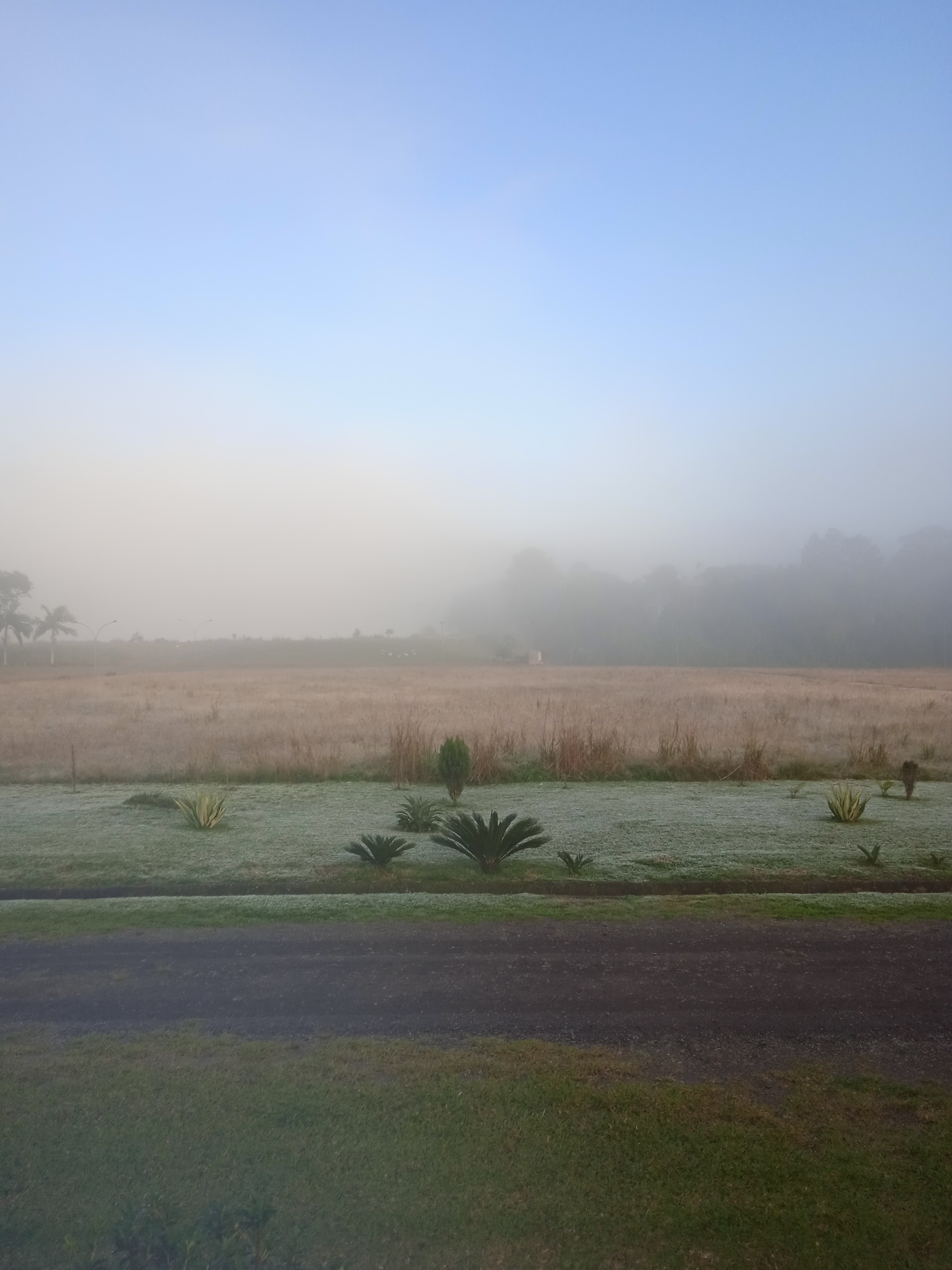 IMG_20220619_081622_1